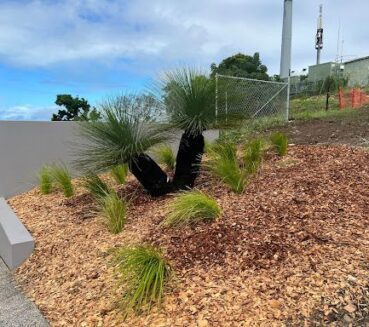  Commercial Garden Restoration - Landscape Plants at CLM Group Landscaping & Maintenance Services