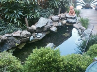 Water Features Water Features